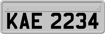KAE2234