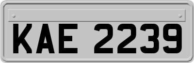 KAE2239