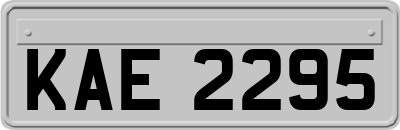 KAE2295