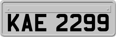 KAE2299