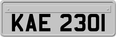 KAE2301