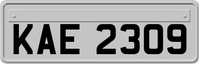 KAE2309