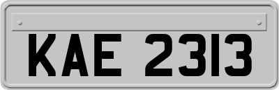 KAE2313