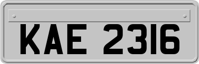 KAE2316