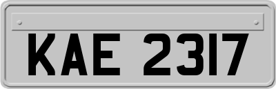 KAE2317