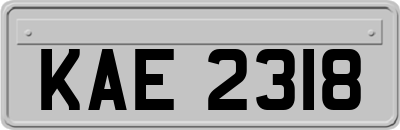 KAE2318