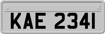KAE2341
