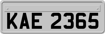 KAE2365
