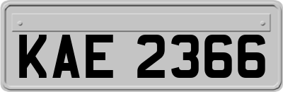 KAE2366