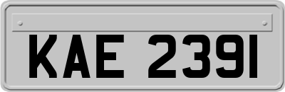 KAE2391