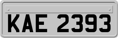 KAE2393