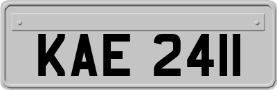 KAE2411
