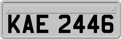 KAE2446