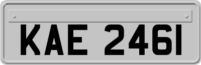 KAE2461