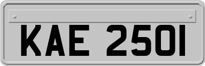 KAE2501