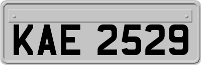 KAE2529
