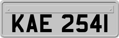 KAE2541