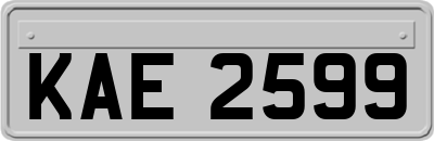 KAE2599