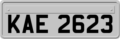 KAE2623