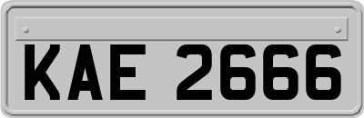 KAE2666