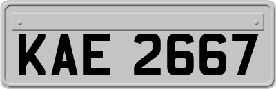 KAE2667