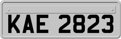 KAE2823