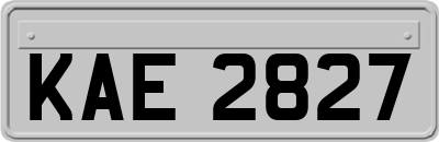 KAE2827