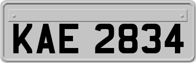 KAE2834