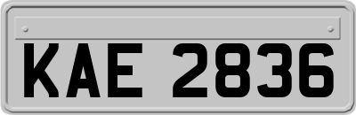 KAE2836