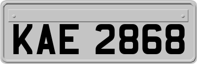 KAE2868