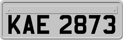 KAE2873