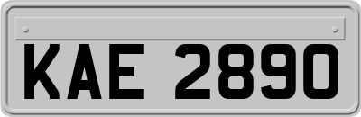 KAE2890