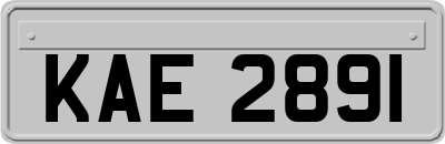 KAE2891