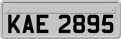 KAE2895