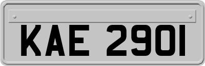 KAE2901