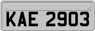 KAE2903