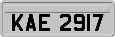 KAE2917