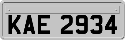 KAE2934