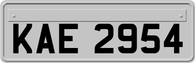 KAE2954