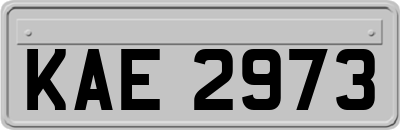 KAE2973
