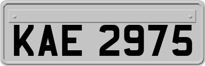 KAE2975