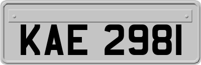 KAE2981