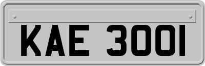 KAE3001
