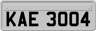 KAE3004
