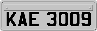 KAE3009