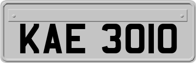 KAE3010