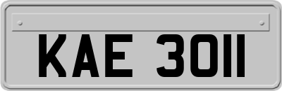 KAE3011