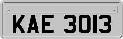 KAE3013
