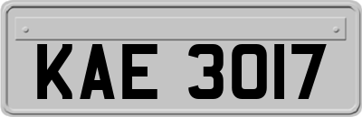 KAE3017