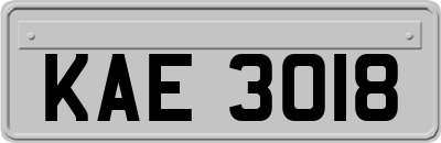 KAE3018
